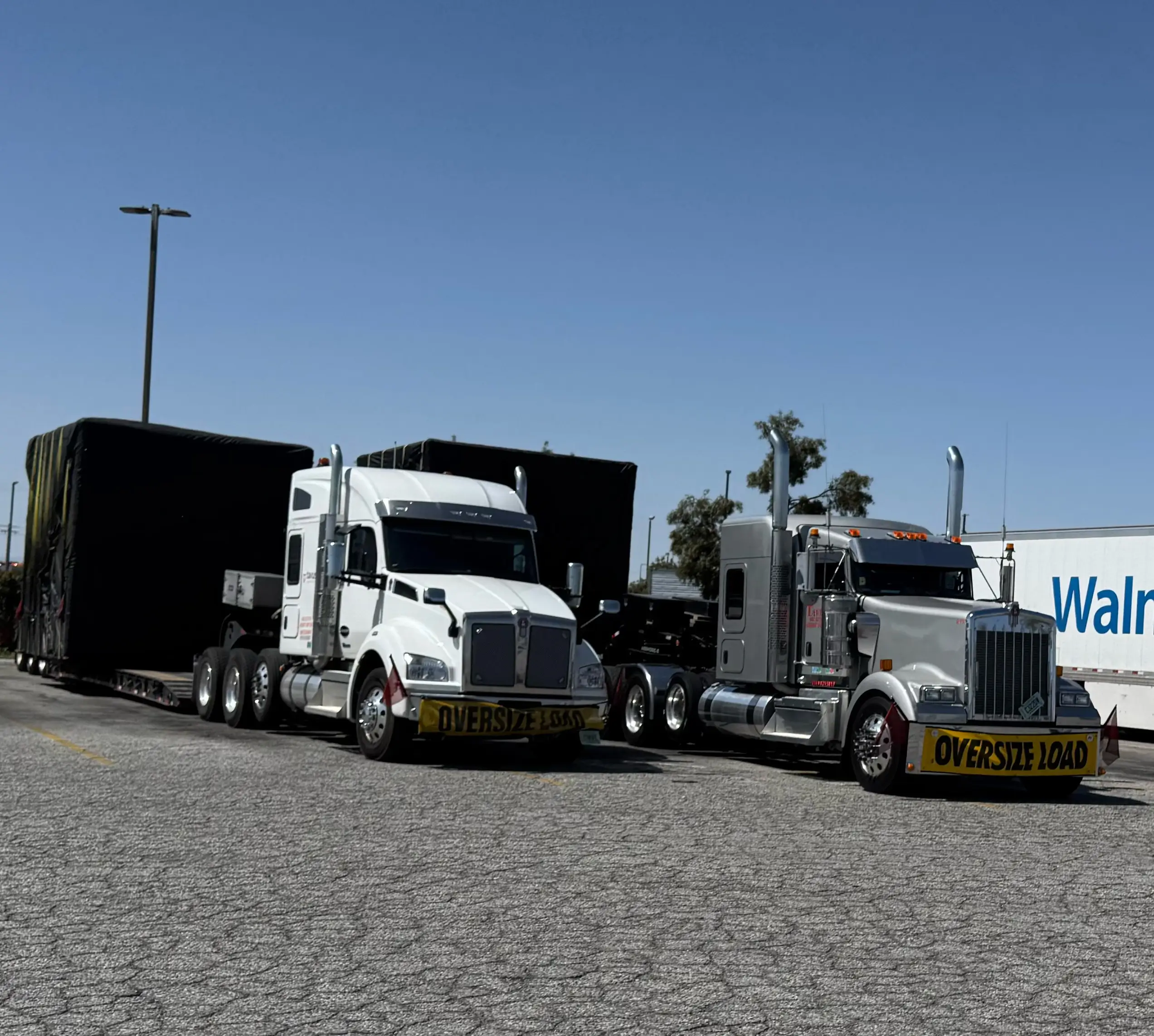Two Tavus Transportation tractors staged with an oversize load ready for dispatch