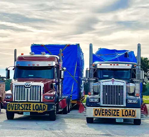 Tavus Transportation professional driver